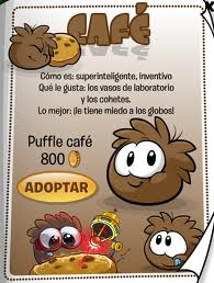 Nuevo puffle cafe en Club Penguin!